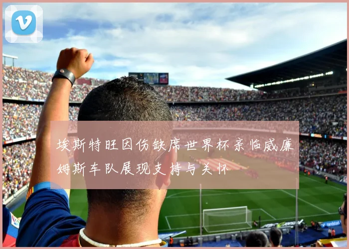 埃斯特旺因伤缺席世界杯亲临威廉姆斯车队展现支持与关怀